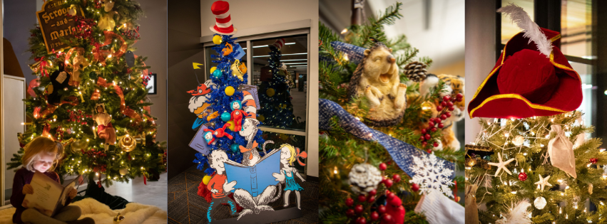 Newsletter_Douglas_ForestofTrees.png#asset:24817