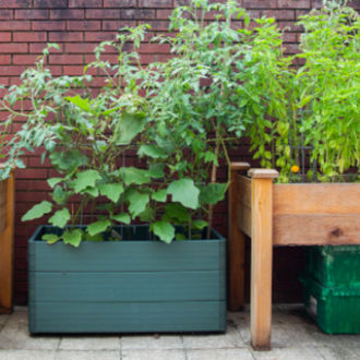 Opening Gardens During A Pandemic In Brooklyn
