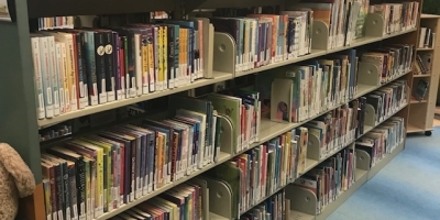 2019 Ulc Innovation Award Race And Social Equity 1000 Black Girl Books