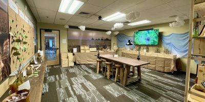 Dream And Design Room