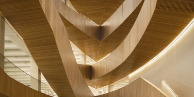 Education Is The New Buffalo Lionel Peyachew Credit Michael Grimm