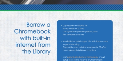 Online2 Go Bilingual Flyer