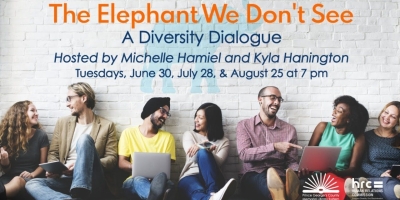 Pgcmls The Elephant We Dont See