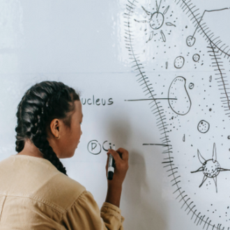 Getting Sonoma Teens Into The “ Mind Of A Scientist”