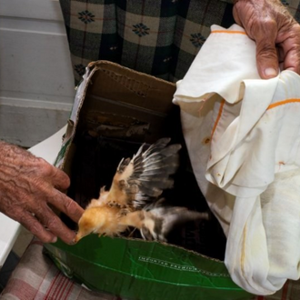 Reclamation Reclamación — Stories Of Climate Change Refugees