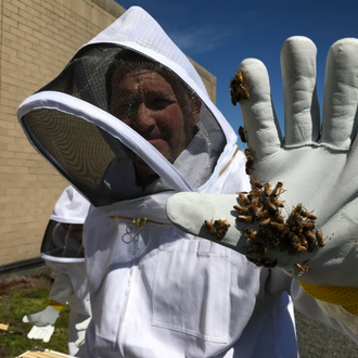 Building Buzz About Pollinators At The Oak Park Public Library