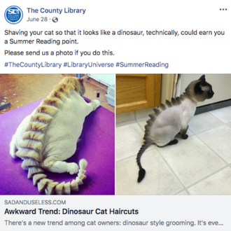 How Libraries Can Be A  Good Hang On Social Media